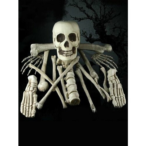 ���� ����� ������� �� �������� ��������� ����� ������, ������ ������