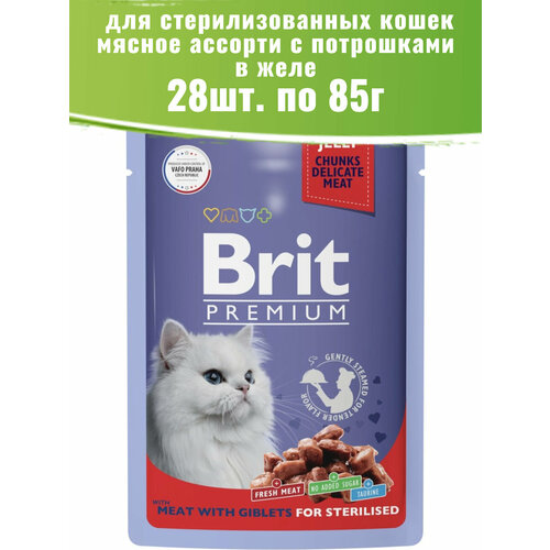  Brit Premium 28  85    ,         -     , -  