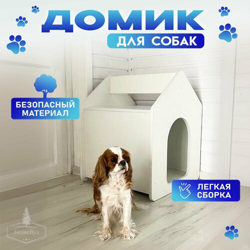 ���� ����� ����� �������� ��� ��������� �����, 57�58�71 ��, ������ ������