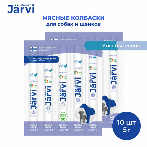  Jarvi           10   1 .   -     , -  