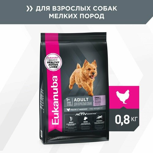  EUKANUBA ADULT SMALL BREED 800         5   -     , -  