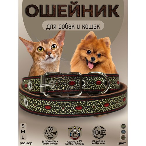 ���� ������� ��� ����� � ����� ������� ������������ � ���������, ������ 22-28��, S 35��, ����������, ������ ������