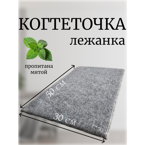 ���� ���������� ������� ��� ����� ��������� �� ��������� �������, ������ ������