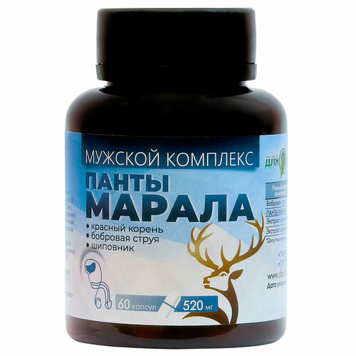 ���� ����� ������ ������� �������� 60��, ������ ������