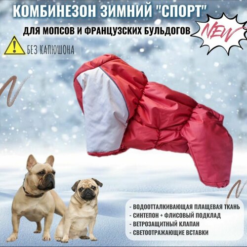 ���� ���������� ������ 