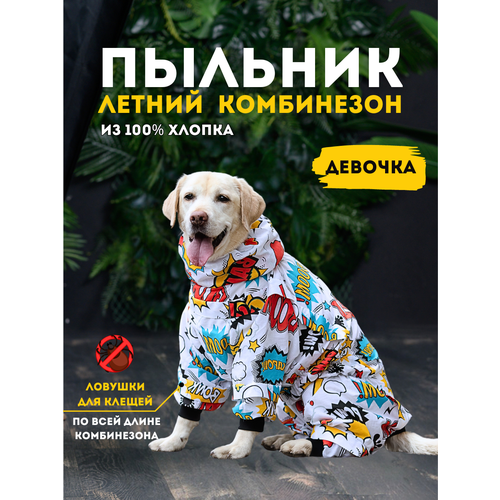 ���� ������� ���������� ��� ����� � ��������� ��� ������, ������ 50+� (3XL+) ����, BOOM2, ������ ������