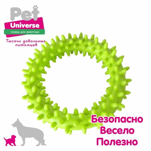     Pet Universe     9 ,    -     , -  