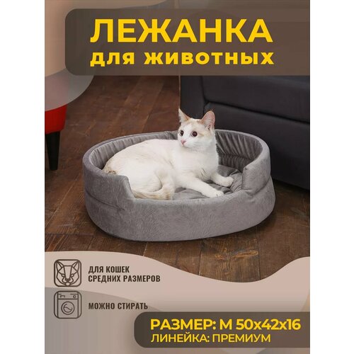 ���� ������� ��� ����� � ����� �������, �����, ������ ������