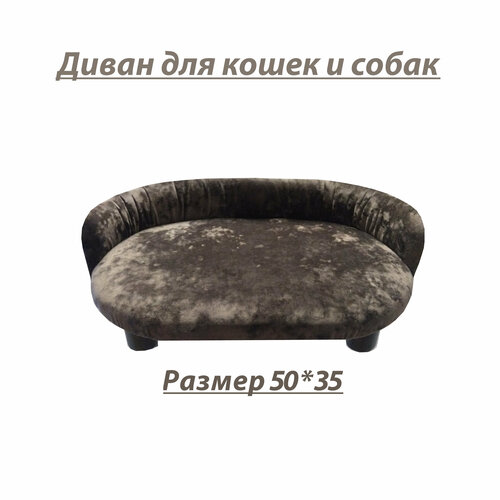 ���� �������, ����� ��� ����� � �����, ���� ����������, 50 ��, ������ ������