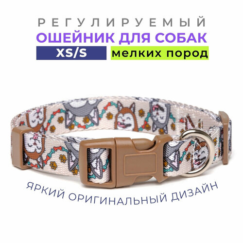 ���� ������� ��� ������ ����� ����� 