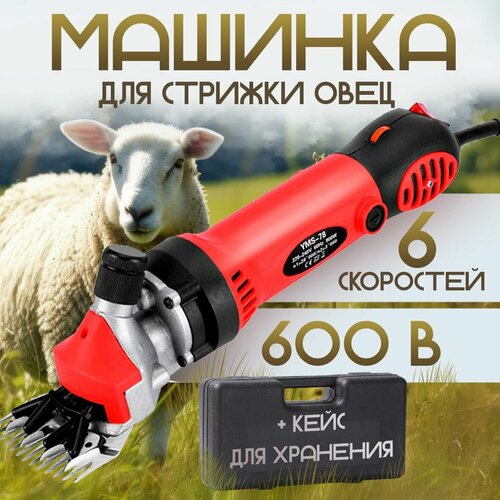        600 W   -     , -  