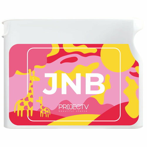   JNB (  )  Project V (Vision)   -     , -  