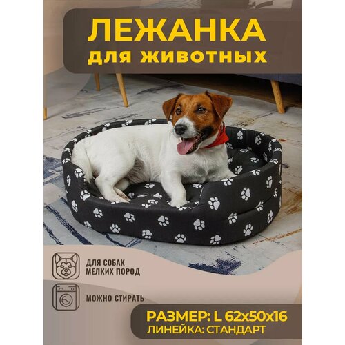 ���� ����� ��� ����� � ����� ������� �����, ����, ������ ������