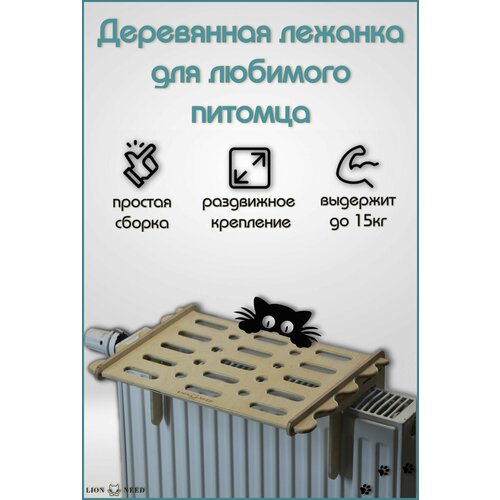 ���� ������� ��� �������� 