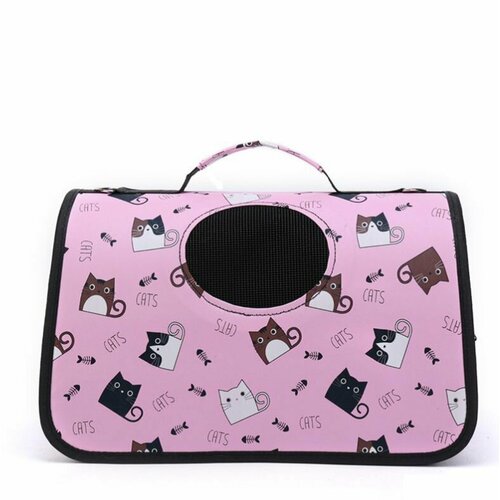 ���� ����� ��������� ��� ����� �������, ������ ������