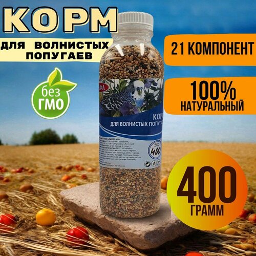 ���� ���� ��� �������� ��������� �������� ��� ���� 400 �����/ ����, ������ ������