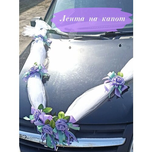 ���� ��������� �� ��������� ����������. ����� �� �����., ������ ������