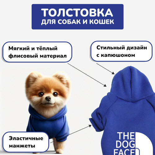 ���� ���� ��� ����� ������ ����� � �����, �����, ������ ������