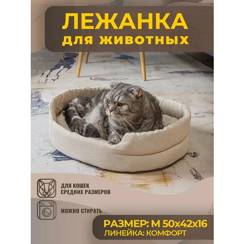 ���� ������� ��� ����� � ����� ������� ����� �� �������, ������ ������