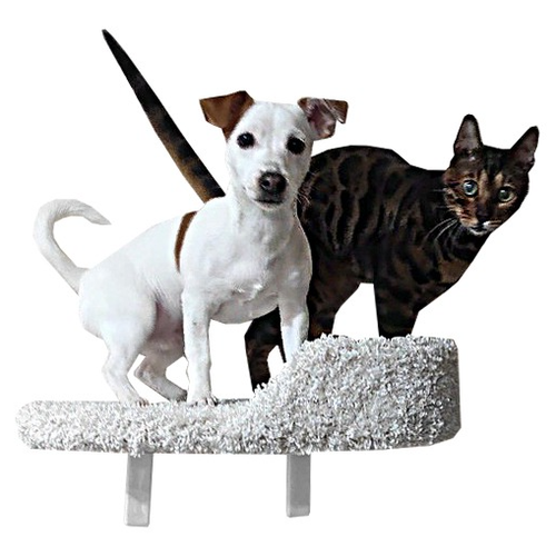 ���� ������� ��� ����� ��������� ��� ���� � �������� ��������������, ���� �����, ������ ������