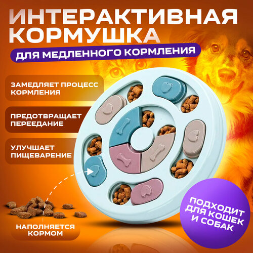 ���� ����������� ��� ���������� ��������� ��� ����� � �����/ �����-�����������, ������ ������