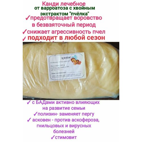 ���� ����� �� B��������� 1�� � ������� ���������� 