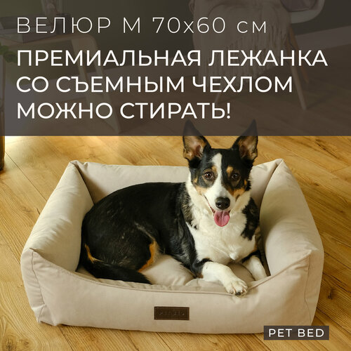 ���� ������� ��� ����� ������� ����� �� ������� ������ PET BED �����, ������ M 70�60 ��, �������, ������ ������