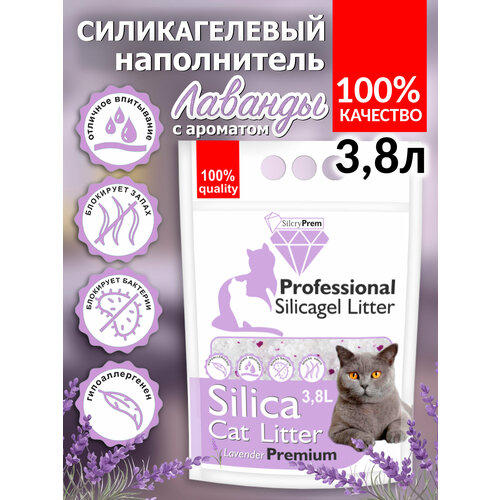 ���� C������������ ����������� ��� �������� �������� 