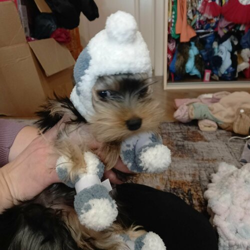 ���� ����� ��� ������� ������ : XS, ������ ������