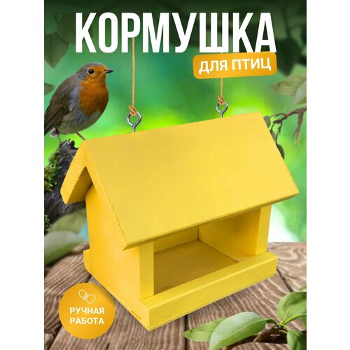 ���� �������� ��� ���� ������, ������ ������