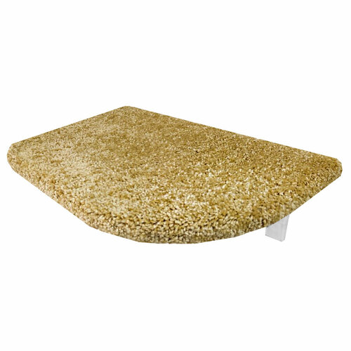 ���� ������� ��� ����� ��������� ��� ������� ��� ����, ���� ������, ������ ������