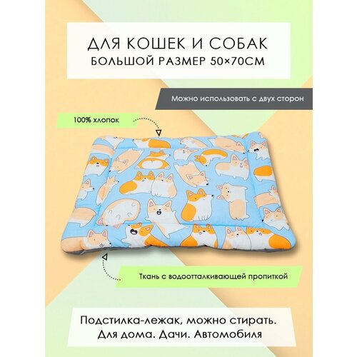 ���� ���������-����� ��� �����/����� 