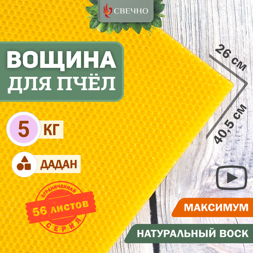 ���� ������ ��� ���� ����� ��������, ������ ������