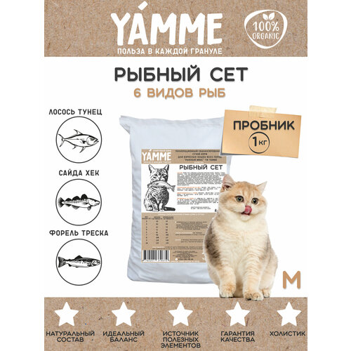    YAMME     , 1      -     , -  