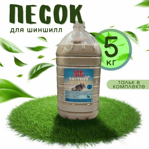 ���� ����� ��� ������� �������, �������, ����, ��������, �������� 5 ��, ������ ������