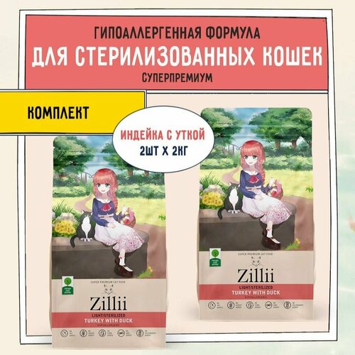           ,  ZILLII (), 4  (2 .  2 )       -     , -  