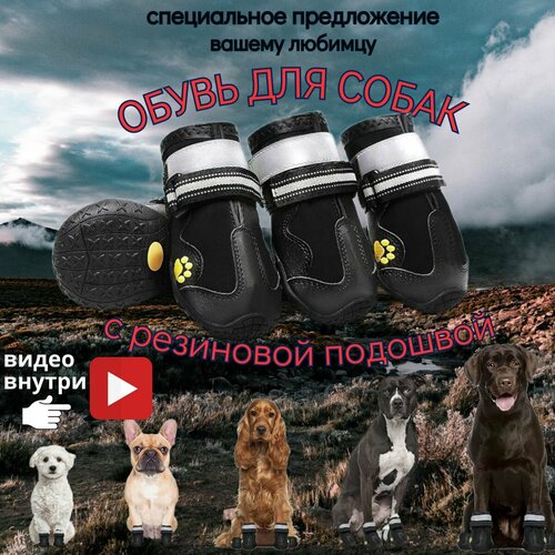 ���� ����� ��� �����, ������� ��� ������� � ������� ����� ������ �7, ������ ������