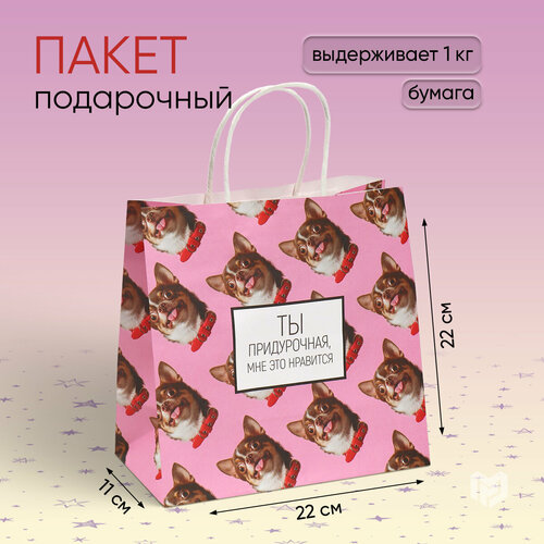 ���� ����� ���������� ��� �����������, ��� ��� ���������, 22 � 22 � 11 ��, ������ ������