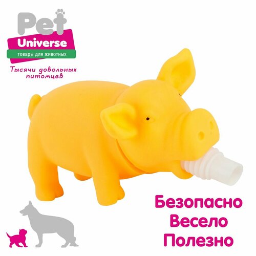     Pet Universe    , 1567 , ,  PU3027Y   -     , -  