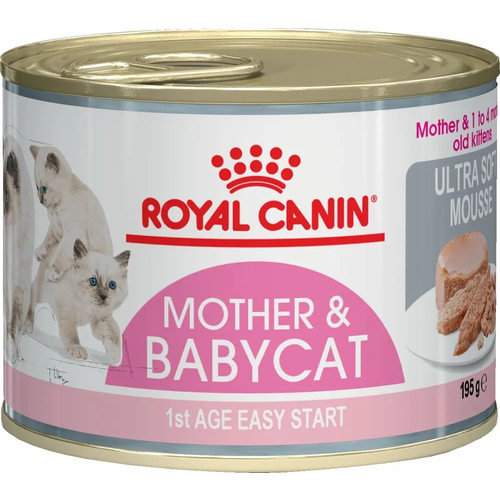    Royal Canin Mother & Babycat (Babycat Instinctive canned) 2  195  ()   -     , -  