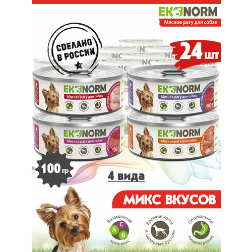      Ekonorm     4  100   24    -     , -  