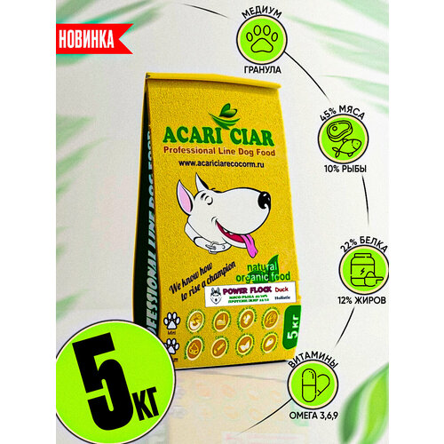      ACARI CIAR POWER FLOCK Duck 5     -     , -  