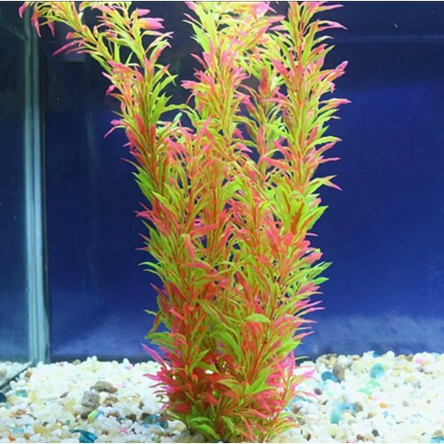 ���� �������� ��� ��������� 40 ��, ������ ������