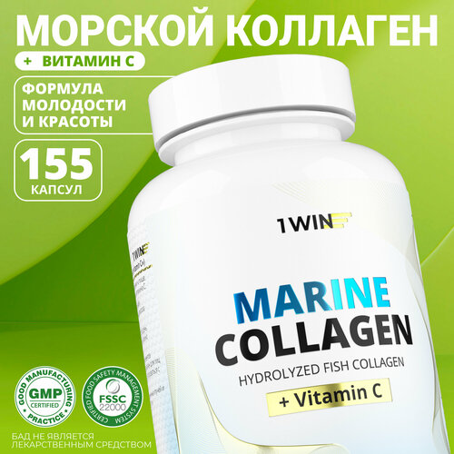 ���� 1WIN ������� �������� � ��������� c � ��������, ��� ������ � ��������, 155 ��, ������ ������