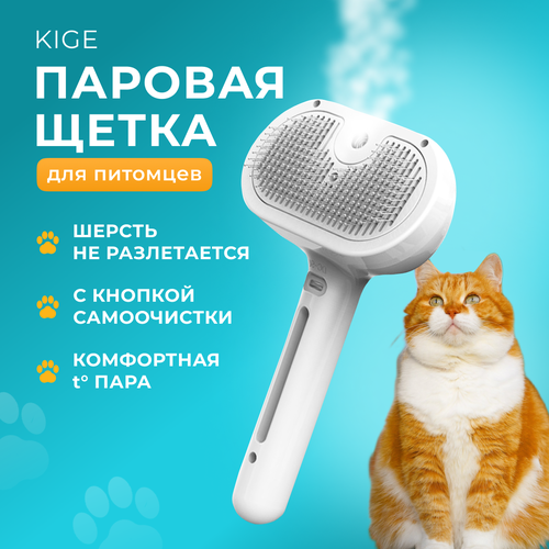 ���� ������� ����� �������� ��� ����� � ����� ��� ������ ����������� ������, ������� �������� � ����� ��� ��������, ������ ������