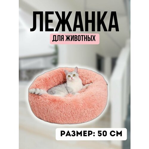 ���� ������� ��� �������� �������� STEFAN, ���� ������-�������, ������� 50 ��, ������ 14 ��, ������ ������