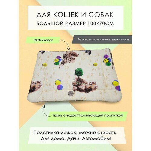 ���� ���������-����� ��� �����/����� 