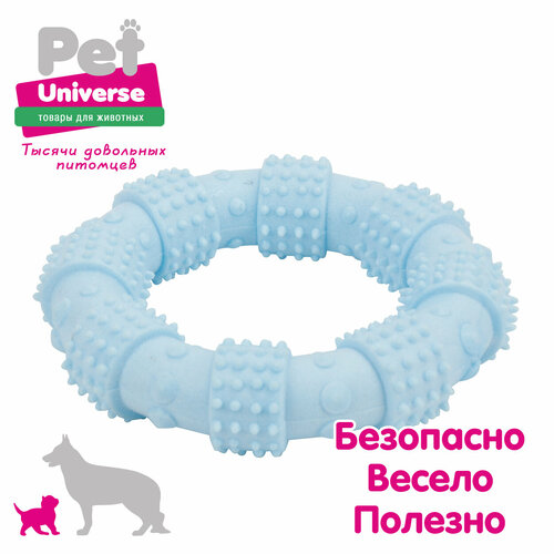     Pet Universe     123 , , , PU3062BE   -     , -  