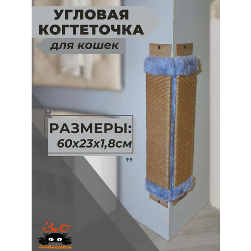 ���� ���������� ������� ��� �����, ������ ������