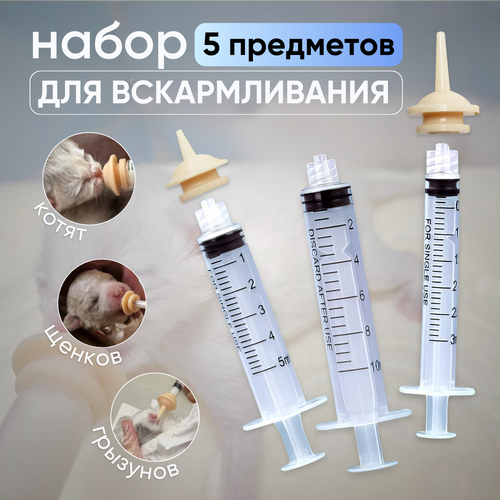 ���� ����� ��� ������������� �����. ����� ��� ��������� ��������, ������ ������